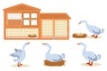 Vector illustration on the farm theme. Domestic geese and chicken coop isolated